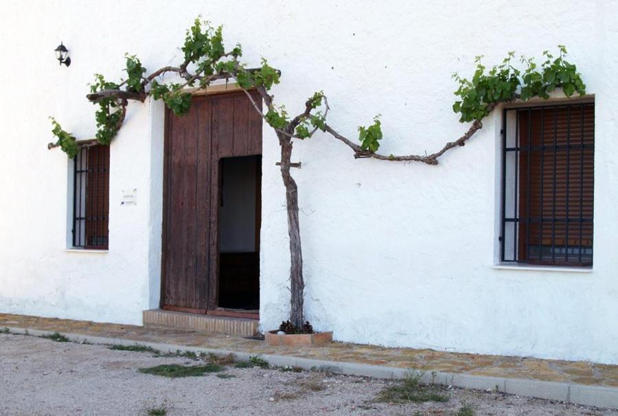 Casa Rural Casa Maxima Yecla Δωμάτιο φωτογραφία